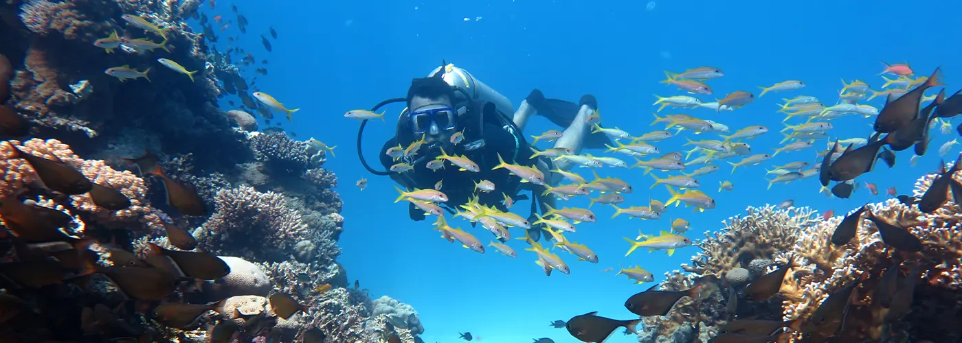 Egypt International Diving